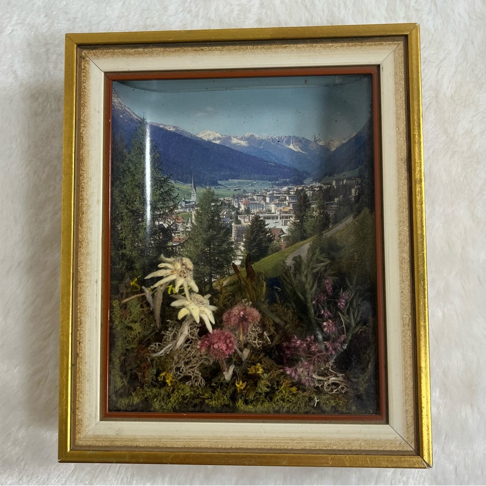 Vintage Floralp Wall Plaque Framed Art Alpine European Decor Germany